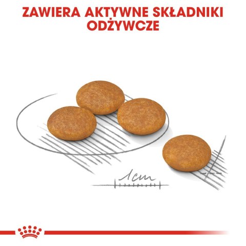 ROYAL CANIN Mini Dermacomfort - karma dla psów dorosłych ras małych - 3kg Royal Canin