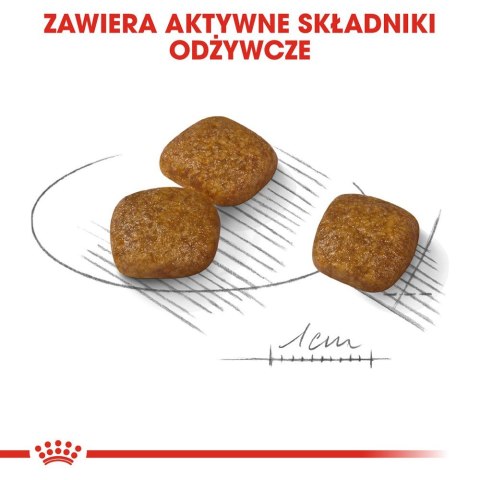ROYAL CANIN Mini Urinary Care CCN - sucha karma dla psa - 1kg Royal Canin