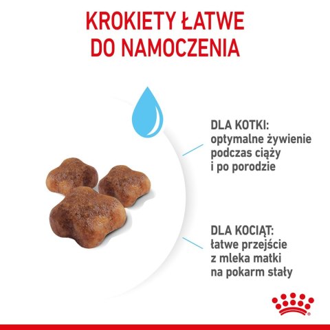 ROYAL CANIN Mother & Babycat 34 0,4kg Royal Canin ROYAL CANIN Mother & Babycat 34 0,4kg Royal Canin