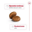 ROYAL CANIN SHN Maxi Adult 5+ - sucha karma dla psa dorosłego - 15 kg Royal Canin