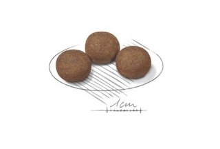 ROYAL CANIN SHN Medium Puppy - sucha karma dla szczeniąt - 15 kg Royal Canin