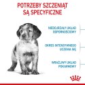 ROYAL CANIN SHN Medium Puppy - sucha karma dla szczeniąt - 15 kg Royal Canin