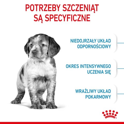 ROYAL CANIN SHN Medium Puppy - sucha karma dla szczeniąt - 15 kg Royal Canin