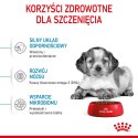 ROYAL CANIN SHN Medium Puppy - sucha karma dla szczeniąt - 15 kg Royal Canin