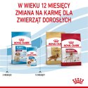 ROYAL CANIN SHN Medium Puppy - sucha karma dla szczeniąt - 15 kg Royal Canin