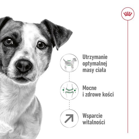 ROYAL CANIN SHN Mini Adult 8+ - sucha karma dla psa dorosłego - 8kg Royal Canin