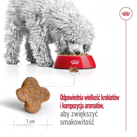 ROYAL CANIN SHN Mini Adult 8+ - sucha karma dla psa dorosłego - 8kg Royal Canin