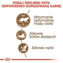 ROYAL CANIN Senior Ageing 12+ Sterilised - sucha karma dla kota - 4 kg Royal Canin