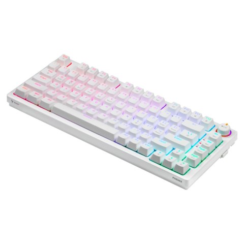 SAVIO KLAWIATURA MECHANICZNA BEZPRZEWODOWA PHENIX WHITE GATERON RED PRO ABS SAVIO SAVIO KLAWIATURA MECHANICZNA BEZPRZEWODOWA PHENIX WHITE GATERON RED PRO ABS SAVIO