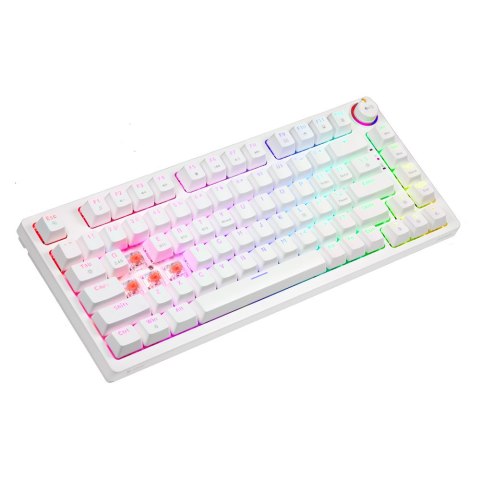 SAVIO KLAWIATURA MECHANICZNA BEZPRZEWODOWA PHENIX WHITE GATERON RED PRO ABS SAVIO SAVIO KLAWIATURA MECHANICZNA BEZPRZEWODOWA PHENIX WHITE GATERON RED PRO ABS SAVIO