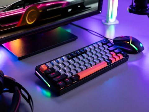 TRACER KLAWIATURA GAMEZONE EVO1 HOT SWAP 63 SZARA Tracer TRACER KLAWIATURA GAMEZONE EVO1 HOT SWAP 63 SZARA Tracer