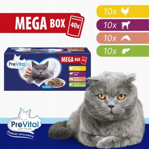 PREVITAL PREVITAL saszetki dla kota mix smaków box 40x100g PREVITAL PREVITAL saszetki dla kota mix smaków box 40x100g