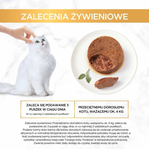 PURINA NESTLE Purina Gourmet Gold królik - mokra karma dla kota - 85 g PURINA NESTLE Purina Gourmet Gold królik - mokra karma dla kota - 85 g