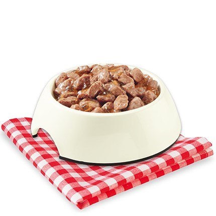 Agras Pet Foods STUZZY CHUNKS z OCEAN FISH 100g Agras Pet Foods STUZZY CHUNKS z OCEAN FISH 100g