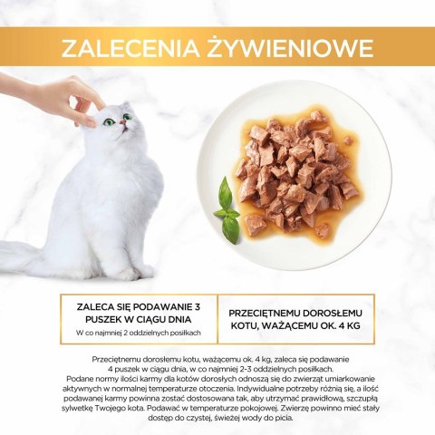 PURINA NESTLE Gourmet Gold Sauce Delights mokra karma dla kota z kurczakiem 85 g PURINA NESTLE Gourmet Gold Sauce Delights mokra karma dla kota z kurczakiem 85 g