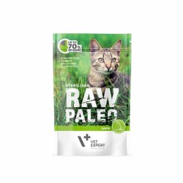 VetExpert VetExpert Raw Paleo sterilised Dzik saszetka 100g