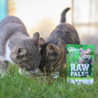 VetExpert VetExpert Raw Paleo sterilised Dzik saszetka 100g