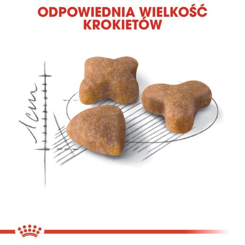 Royal Canin ROYAL CANIN FHN Sensible - sucha karma dla kota dorosłego - 10kg Royal Canin ROYAL CANIN FHN Sensible - sucha karma dla kota dorosłego - 10kg