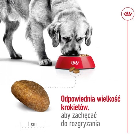 Royal Canin ROYAL CANIN SHN Maxi Adult - sucha karma dla psa dorosłego - 15 kg Royal Canin ROYAL CANIN SHN Maxi Adult - sucha karma dla psa dorosłego - 15 kg