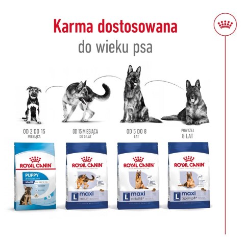 Royal Canin ROYAL CANIN SHN Maxi Adult - sucha karma dla psa dorosłego - 15 kg Royal Canin ROYAL CANIN SHN Maxi Adult - sucha karma dla psa dorosłego - 15 kg