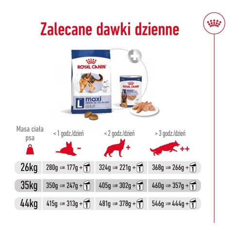 Royal Canin ROYAL CANIN SHN Maxi Adult - sucha karma dla psa dorosłego - 15 kg Royal Canin ROYAL CANIN SHN Maxi Adult - sucha karma dla psa dorosłego - 15 kg