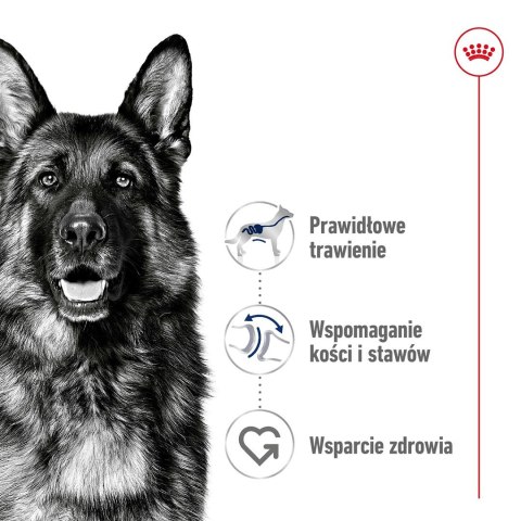 Royal Canin ROYAL CANIN SHN Maxi Adult - sucha karma dla psa dorosłego - 15 kg Royal Canin ROYAL CANIN SHN Maxi Adult - sucha karma dla psa dorosłego - 15 kg