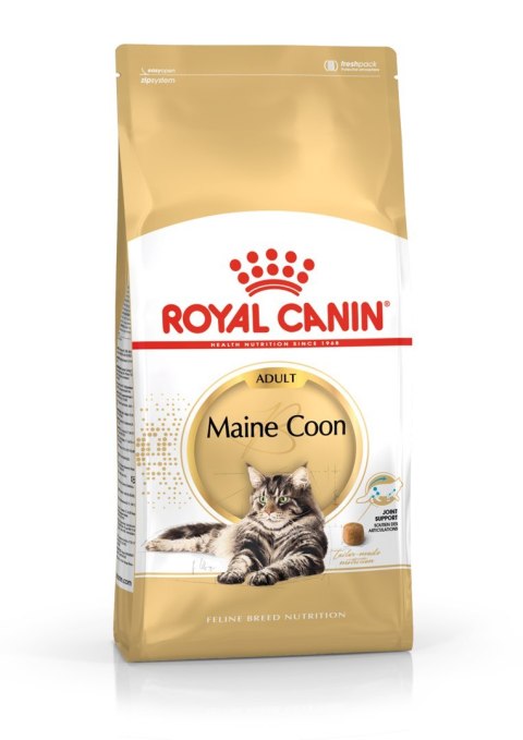 Royal Canin Royal Canin FBN Maine Coon Adult - sucha karma dla kota dorosłego - 4kg