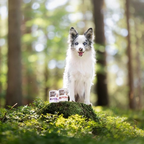 VetExpert VetExpert Raw Paleo Kaczka Puppy Can 400g VetExpert VetExpert Raw Paleo Kaczka Puppy Can 400g