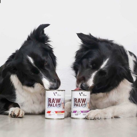 VetExpert VetExpert Raw Paleo Wołowina Adult Can 400g VetExpert VetExpert Raw Paleo Wołowina Adult Can 400g