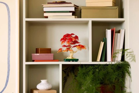 Lego LEGO BOTANICALS 10348 JAPANESE RED MAPLE BONSAI TREE
