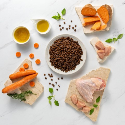 VetExpert VetExpert Raw Paleo Ultra Indyk Mini Adult 2kg VetExpert VetExpert Raw Paleo Ultra Indyk Mini Adult 2kg