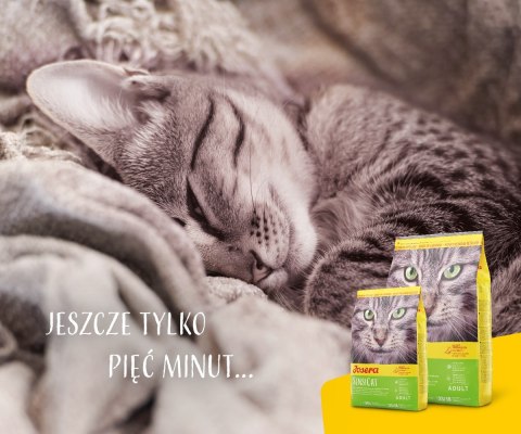 JOSERA JOSERA SensiCat - 2kg JOSERA JOSERA SensiCat - 2kg