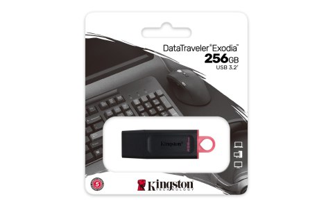 Kingston KINGSTON FLASH 256GB USB3.2 Gen1 DataTraveler Exodia (B+P) Kingston KINGSTON FLASH 256GB USB3.2 Gen1 DataTraveler Exodia (B+P)