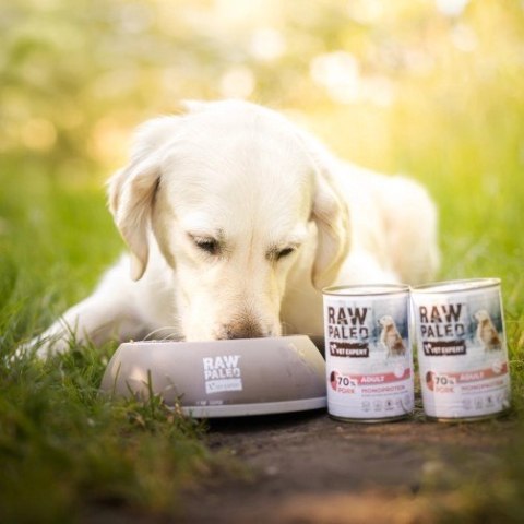 VetExpert VetExpert Raw Paleo Wieprzowina Adult Can 800g VetExpert VetExpert Raw Paleo Wieprzowina Adult Can 800g