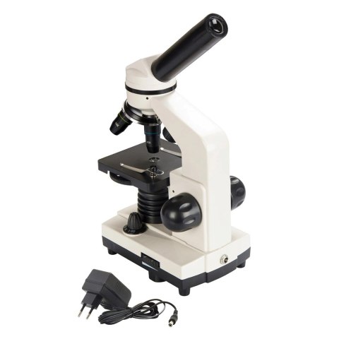 DELTA optical Mikroskop Delta Optical Biolight 100 DELTA optical Mikroskop Delta Optical Biolight 100