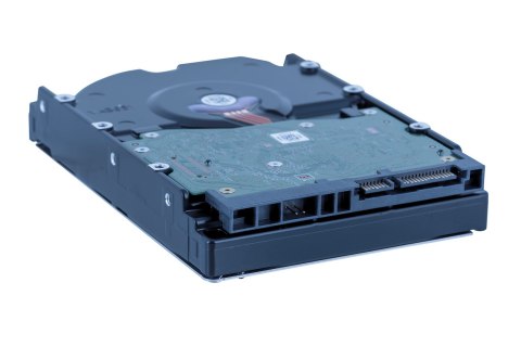 WD Dysk HDD WD Red Plus WD80EFPX (8 TB ; 3.5"; 256 MB)