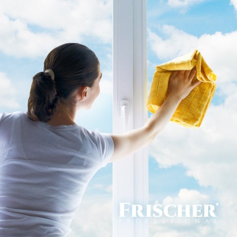 FRISCHER Płyn do mycia szyb Frischer z funkcją antypary 1l FRISCHER Płyn do mycia szyb Frischer z funkcją antypary 1l