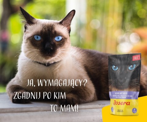 JOSERA JOSERA Filet kurczak z cielęciną - mokra karma dla kota - 70 g JOSERA JOSERA Filet kurczak z cielęciną - mokra karma dla kota - 70 g