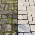 FRISCHER Płyn do usuwania mchu, glonów o zielonych nalotów Frischer 5l