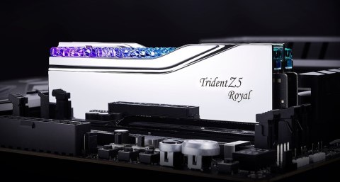 G.SKILL G.SKILL TRIDENT Z5 ROYAL RGB DDR5 2X32GB 6800MHZ CL34 SILVER F5-6800J3445G32GX2-TR5S G.SKILL G.SKILL TRIDENT Z5 ROYAL RGB DDR5 2X32GB 6800MHZ CL34 SILVER F5-6800J3445G32GX2-TR5S