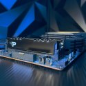Patriot Memory Patriot Signature DDR5 24GB 5600MHz 1 Rank