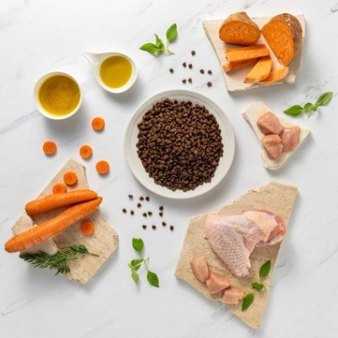 VetExpert VetExpert Raw Paleo Ultra Indyk Mini Puppy 2kg VetExpert VetExpert Raw Paleo Ultra Indyk Mini Puppy 2kg