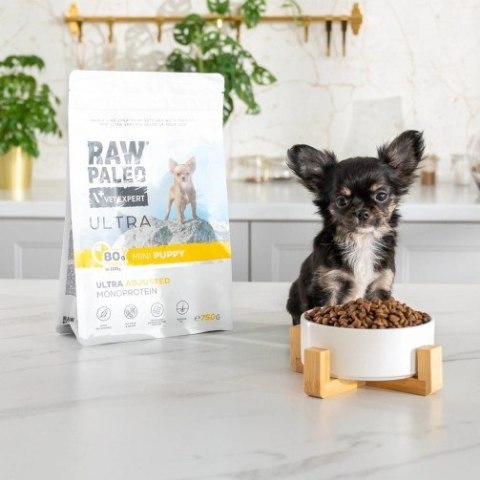 VetExpert VetExpert Raw Paleo Ultra Indyk Mini Puppy 2kg VetExpert VetExpert Raw Paleo Ultra Indyk Mini Puppy 2kg