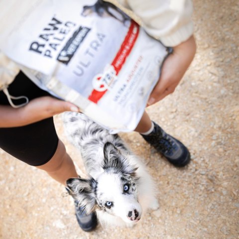 VetExpert VetExpert Raw Paleo Ultra Wołowina Medium&Large Puppy 2kg VetExpert VetExpert Raw Paleo Ultra Wołowina Medium&Large Puppy 2kg