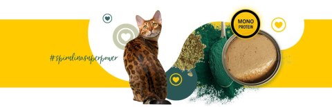 3Coty CHICKEN with Spirulina for Senior Cats 80g 3Coty CHICKEN with Spirulina for Senior Cats 80g