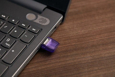 Kingston KINGSTON FLASH 256GB USB3.2 DataTraveler microDuo3C Kingston KINGSTON FLASH 256GB USB3.2 DataTraveler microDuo3C
