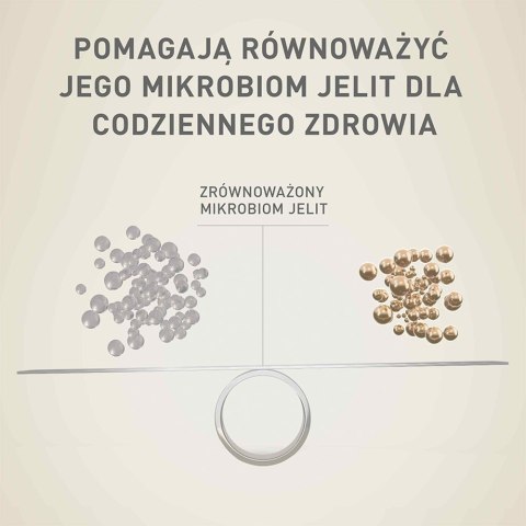 PURINA NESTLE PURINA One Mini/Small Sensitive Łosoś, ryż - sucha karma dla psa - 800 g PURINA NESTLE PURINA One Mini/Small Sensitive Łosoś, ryż - sucha karma dla psa - 800 g