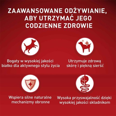 PURINA NESTLE PURINA One Mini/Small Sensitive Łosoś, ryż - sucha karma dla psa - 800 g PURINA NESTLE PURINA One Mini/Small Sensitive Łosoś, ryż - sucha karma dla psa - 800 g