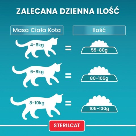 PURINA One Bifensis Sterilcat Wołowina - sucha karma dla kota - 800 g PURINA One Bifensis Sterilcat Wołowina - sucha karma dla kota - 800 g