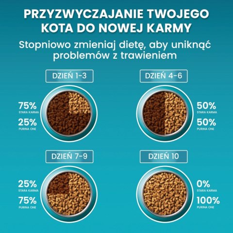 PURINA One Bifensis Sterilcat Wołowina - sucha karma dla kota - 800 g PURINA One Bifensis Sterilcat Wołowina - sucha karma dla kota - 800 g